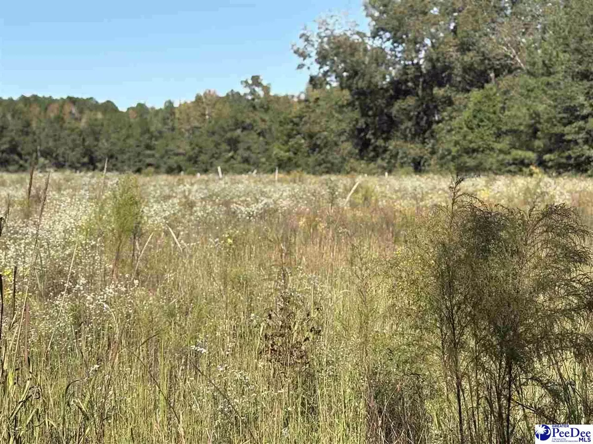 Hartsville, SC 29550,TBD E Carolina Ave