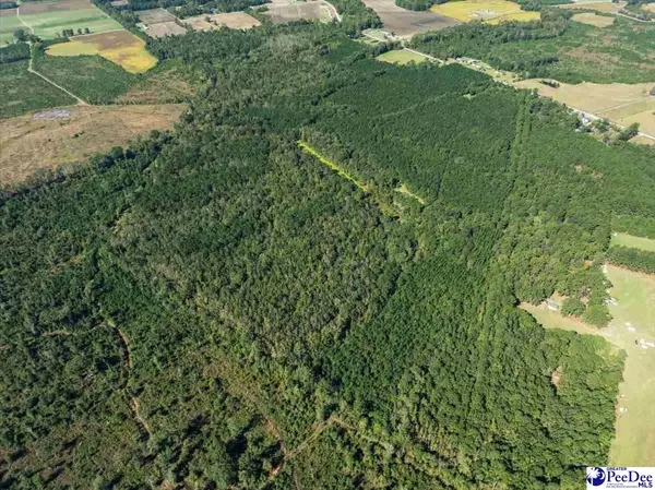 Scranton, SC 29530,TBD E Friendfield Rd Tract A (48 Acres)