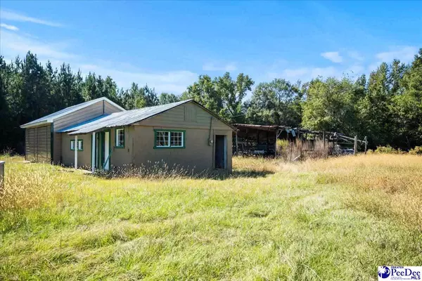 Scranton, SC 29530,TBD E Friendfield Rd Tract B (47 Acres)