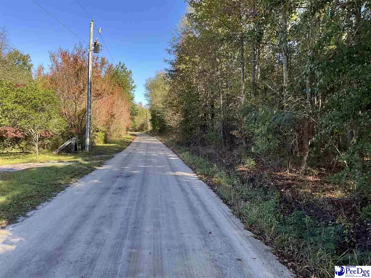 Marion, SC 29571,TBD Derrick Ct.