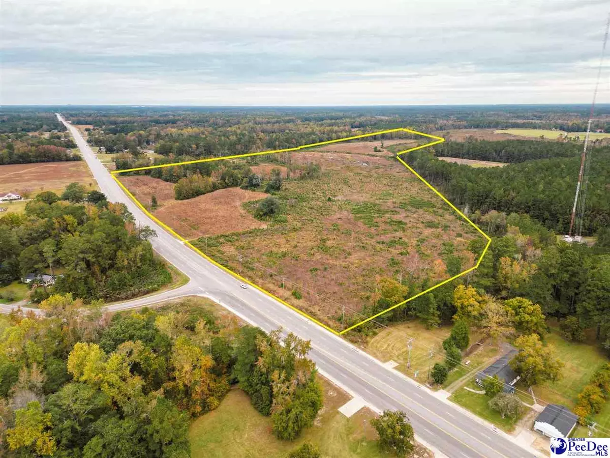 Florence, SC 29505,83+/- Acres Pamplico Hwy