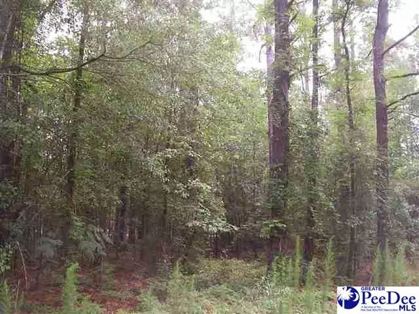 Hartsville, SC 29550,Lot 34 Tremont Circle