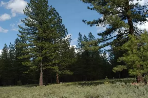 12593 Caleb DR, Truckee, CA 96161