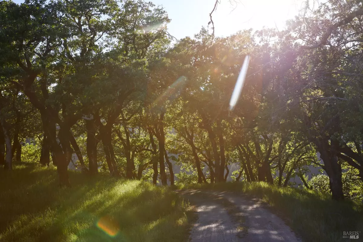 Redwood Valley, CA 95470,10850 Tomki RD