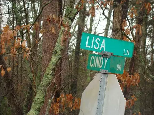 Soddy Daisy, TN 37379,13409 Lisa LN