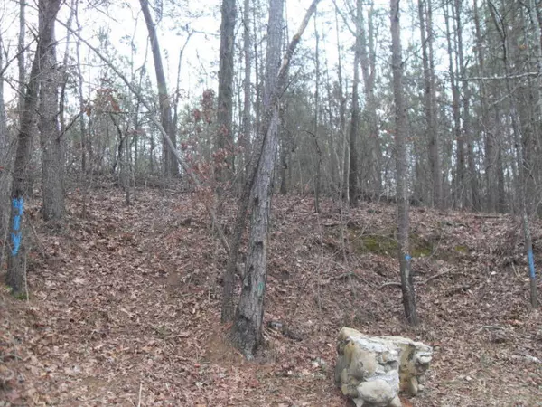 015 Hillside DR, Rossville, GA 30741