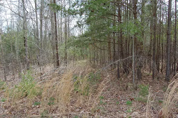 Dunlap, TN 37327,6 Stone Creek Trl.