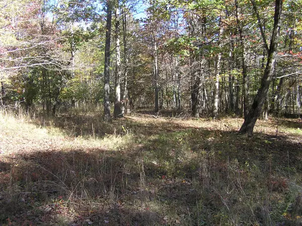 Dunlap, TN 37327,399 2 Lake TRL