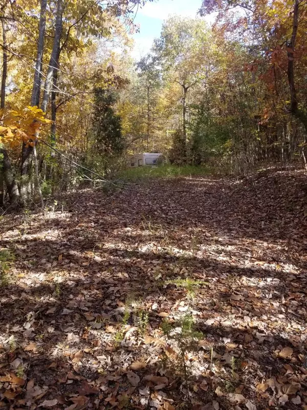 Spring City, TN 37381,8.62 Ac Tammy TRL