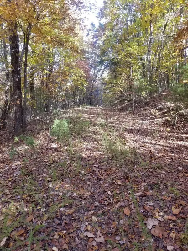 Spring City, TN 37381,8.62 Ac Tammy TRL