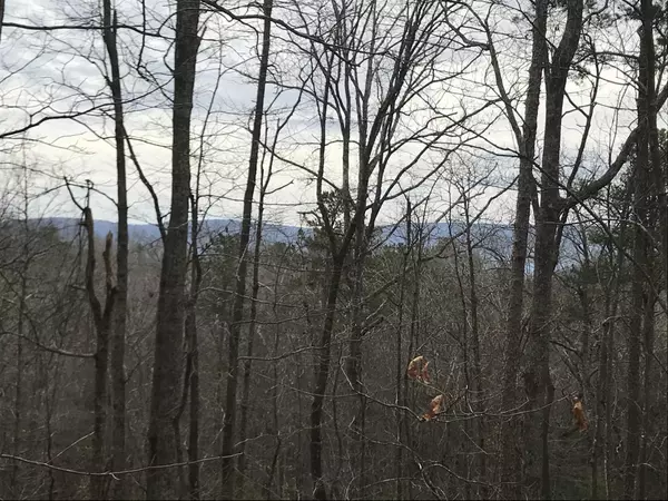 Dunlap, TN 37327,0 Tall Tree TRL