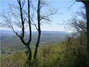 Lot 7-8 Brow RD, Trenton, GA 30752