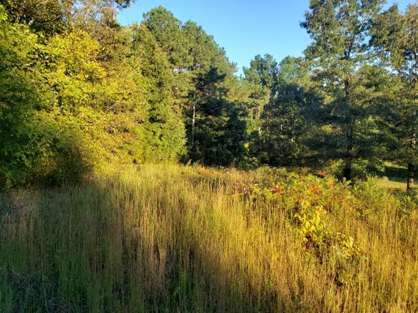 Cohutta, GA 30710,0 Ridge Pointe LN