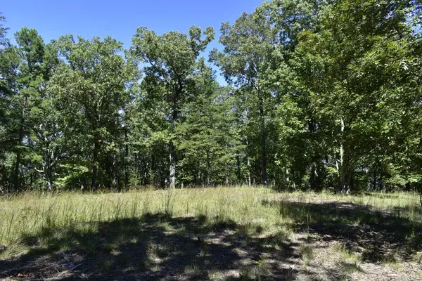 Rising Fawn, GA 30738,0 Lula Lake RD