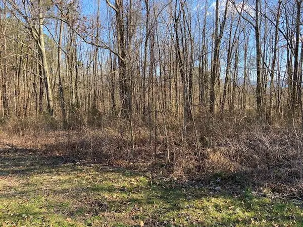Dunlap, TN 37327,5 Lester Circle CIR