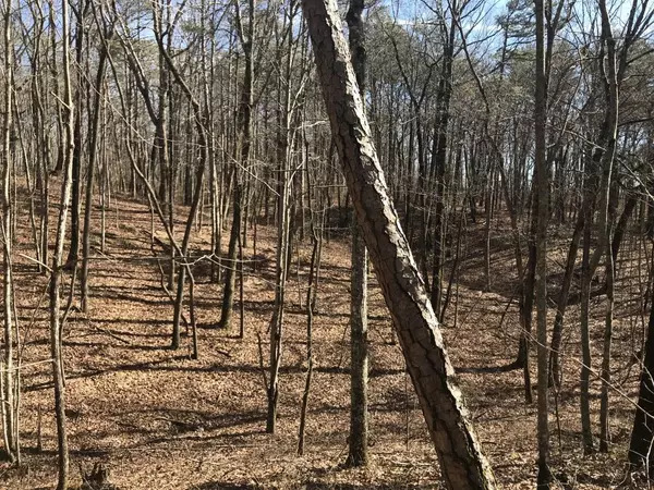 Dunlap, TN 37327,0 Hobbstown RD