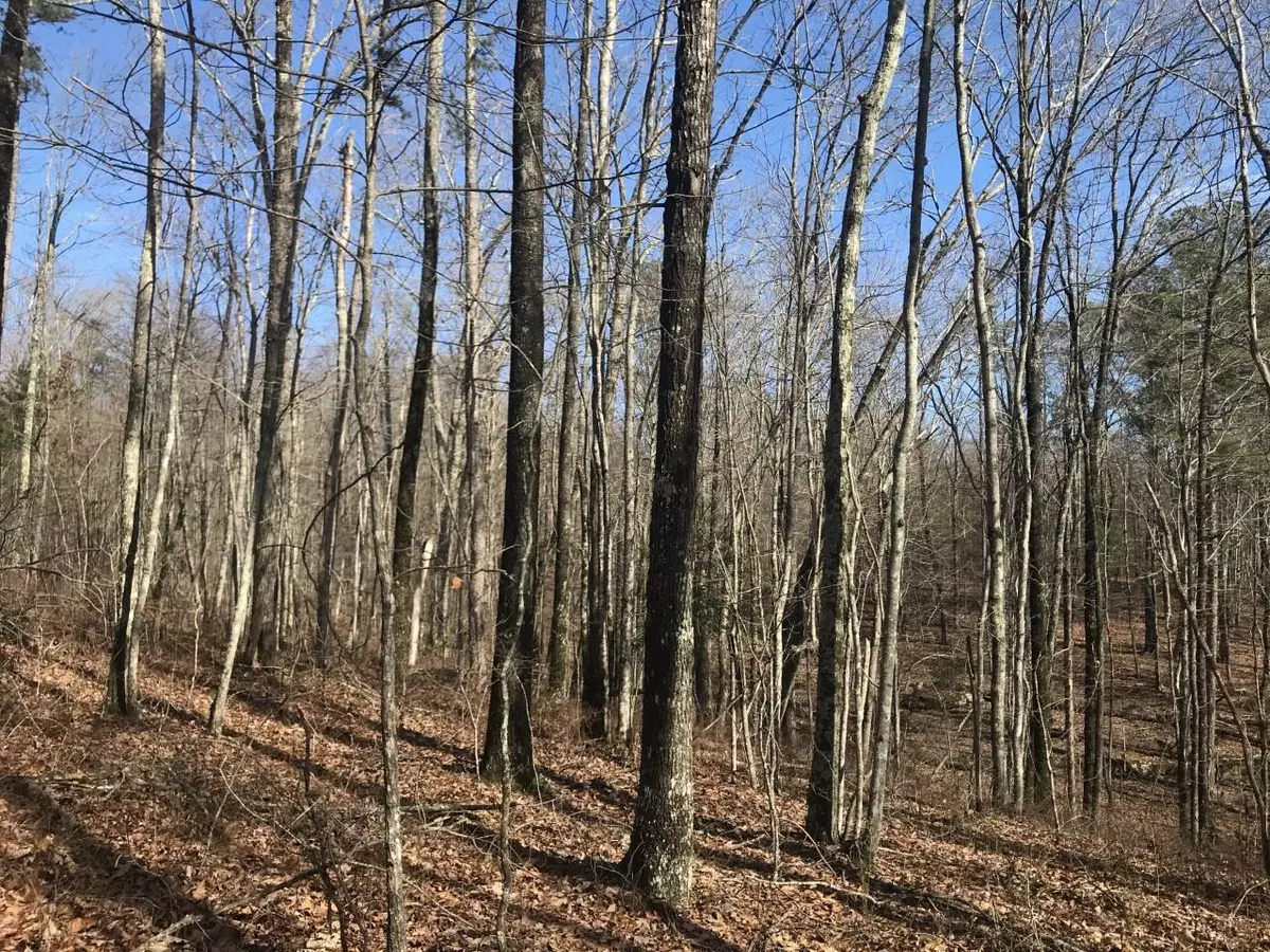 Dunlap, TN 37327,0 Hobbstown RD