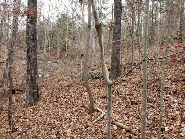 South Pittsburg, TN 37380,Lot 0 Highway 156