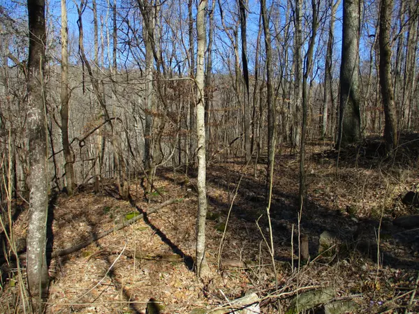 Pikeville, TN 37367,00 Timber Ridge RD