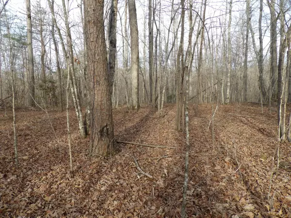 Pikeville, TN 37367,005 Mt Laurel DR