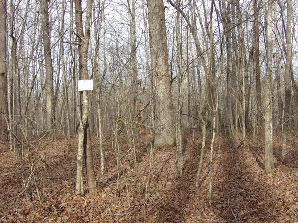Pikeville, TN 37367,005 Mt Laurel DR