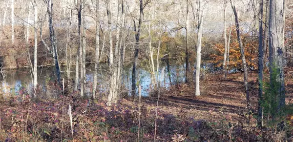 Lot 13 Blue Heron DR, Harriman, TN 37748