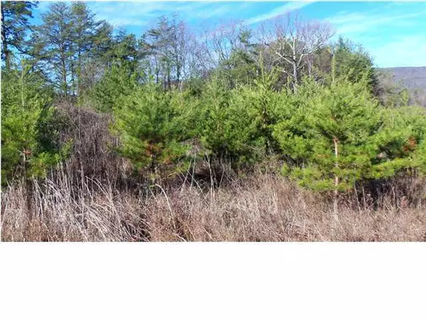 Soddy Daisy, TN 37379,341 Hixson ST