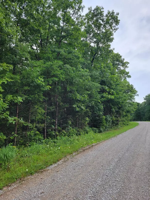 Pikeville, TN 37367,11 Mountain Creek RD