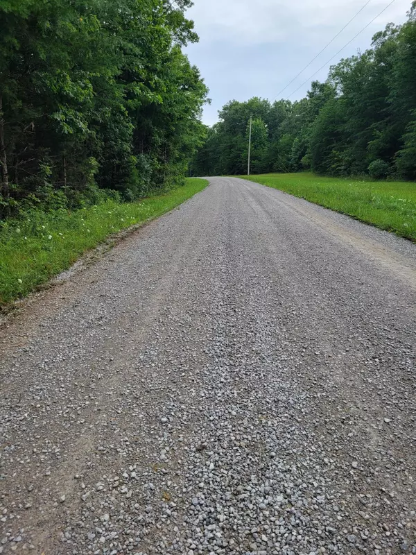 Pikeville, TN 37367,12 Mountain Creek RD
