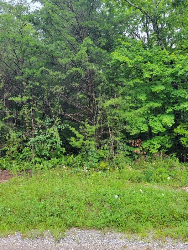 Pikeville, TN 37367,12 Mountain Creek RD