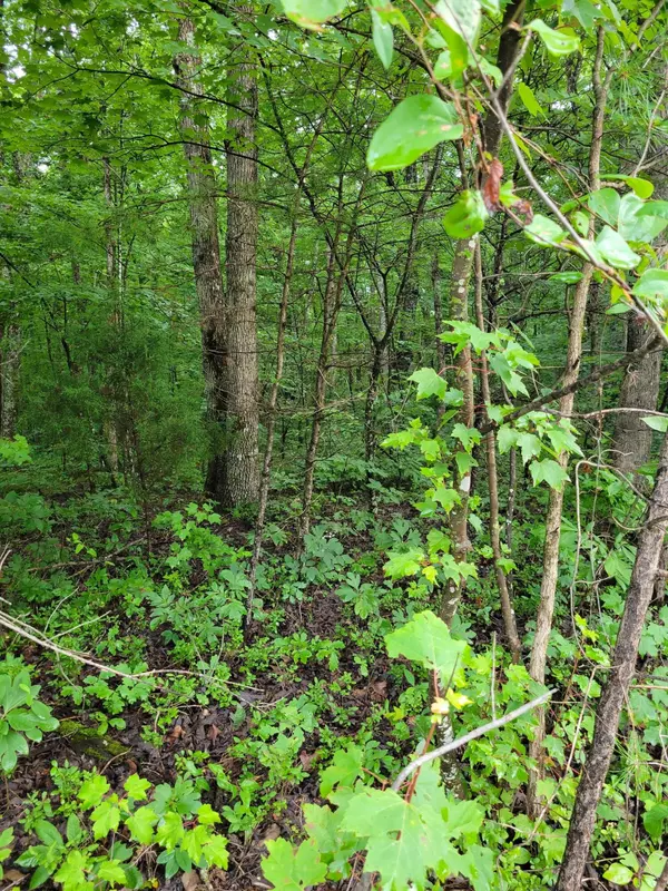 Pikeville, TN 37367,12 Mountain Creek RD