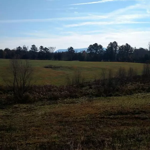 Riceville, TN 37370,175 County Road 775