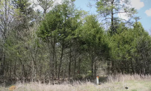 Trenton, GA 30752,000 Mckaig RD