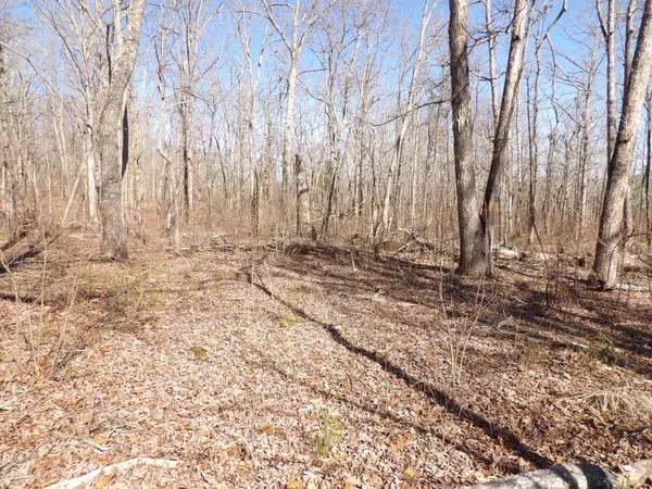 Pikeville, TN 37367,000 Dogwood Flat RD