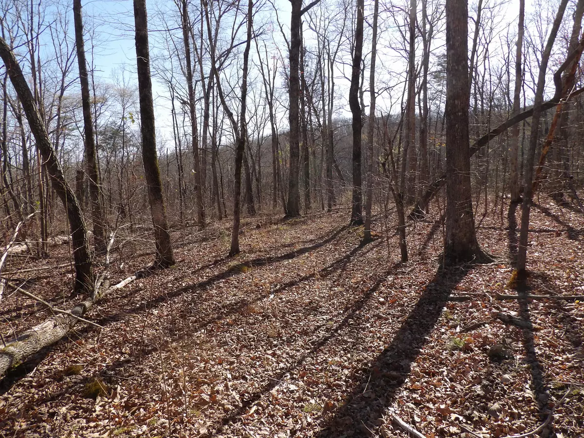 Pikeville, TN 37367,000 Dogwood Flat RD