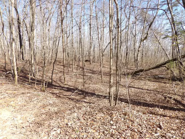 Pikeville, TN 37367,000 Dogwood Flat RD