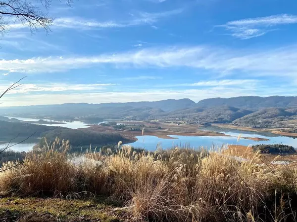 Bean Station, TN 37708,0 Paradise Mountain LN