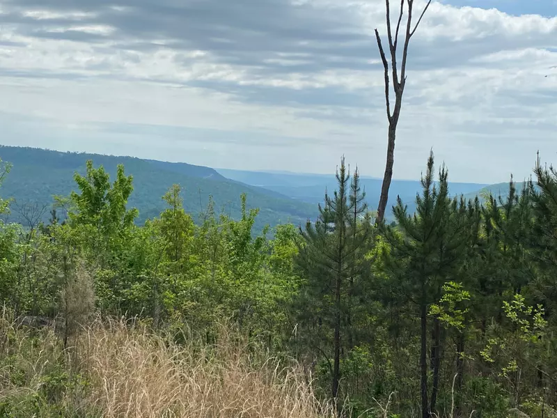 Lot 7 Jackson Point Road, Sewanee, TN 37375