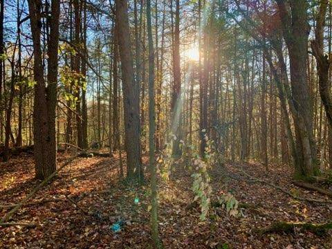 322 Coleman RD, Soddy Daisy, TN 37379