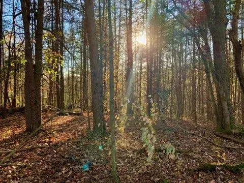 Soddy Daisy, TN 37379,322 Coleman RD