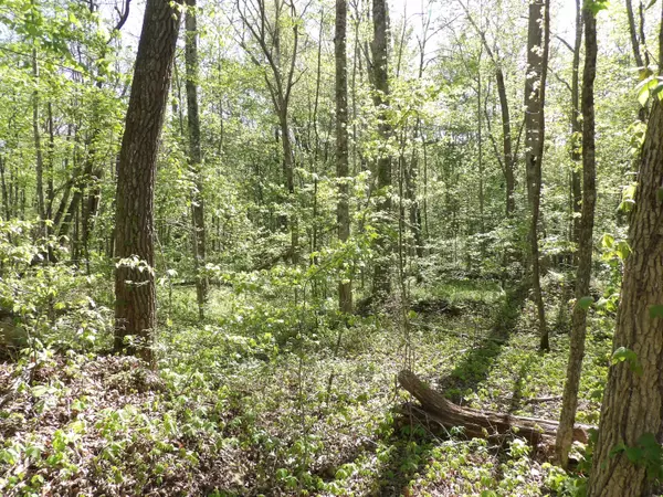Pikeville, TN 37367,04 Cyrus Daniel RD