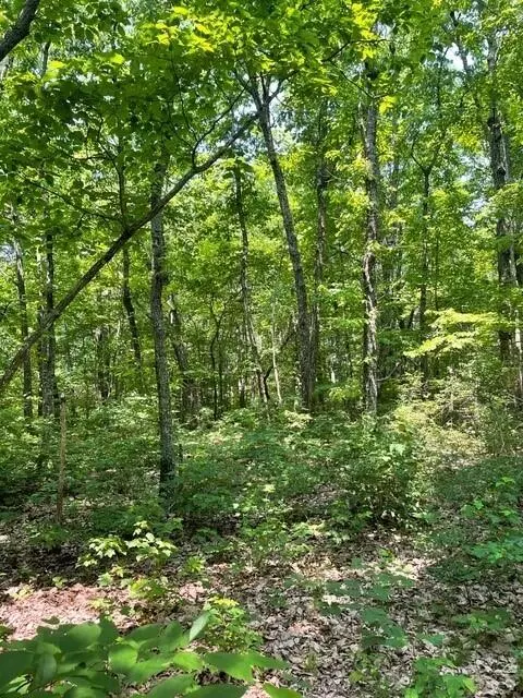 Altamont, TN 37301,Lot 6 North Campbell Road