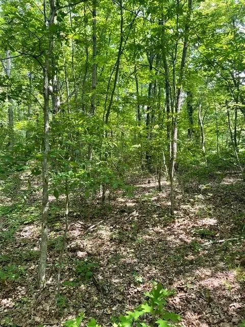 Altamont, TN 37301,Lot 6 North Campbell Road