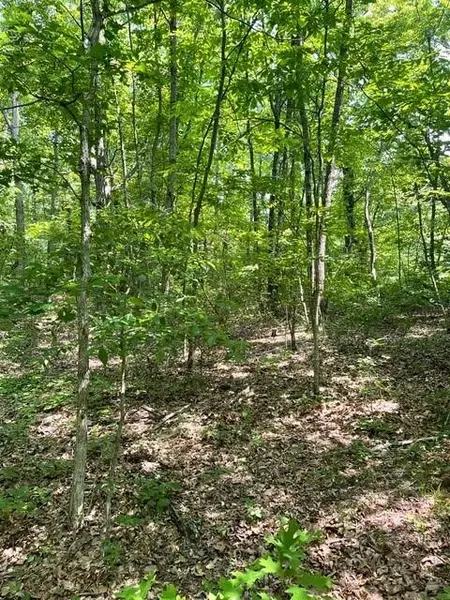 Lot 6 North Campbell Road, Altamont, TN 37301