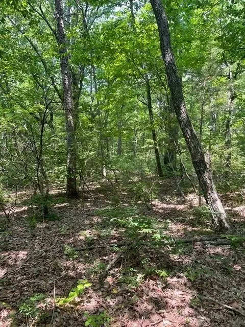 Altamont, TN 37301,Lot 6 North Campbell Road