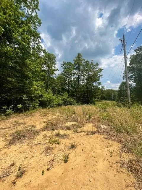 Altamont, TN 37301,Lot 7 Blumont Drive