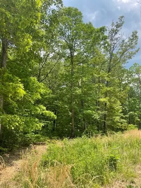 Lot 7 Blumont Drive, Altamont, TN 37301