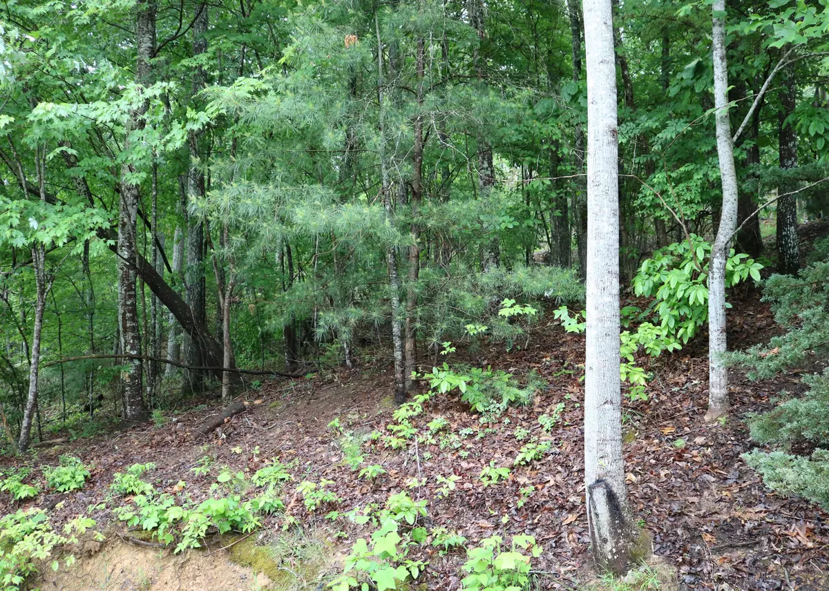 Crossville, TN 38558,68 Chelteham LN