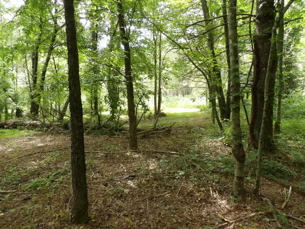 Pikeville, TN 37367,00 Bench RD