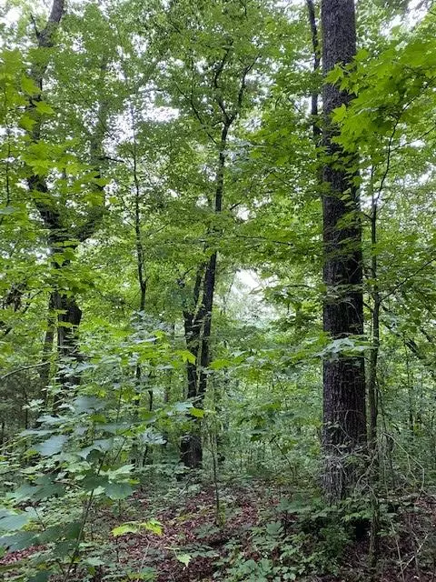 Guild, TN 37340,Lot 27 Hwy 134